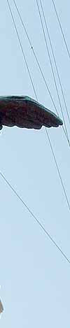 �T���^���W�F����̑�V�g���i���@�e�B�J���A���[�}�A�C�^���A�j